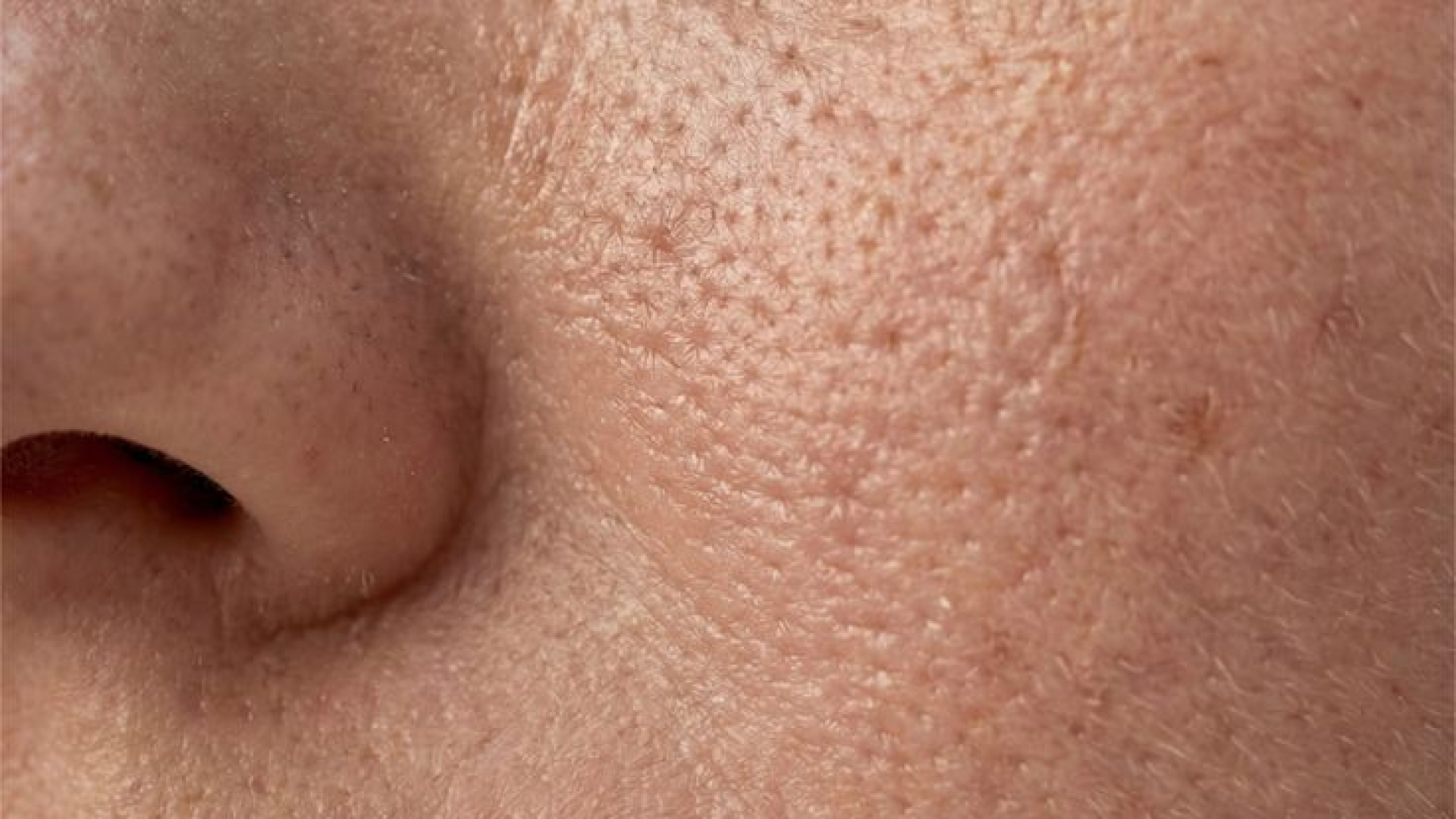 Close-up of facial skin around the nose and cheek showing visible pores and natural skin texture in high detail.
