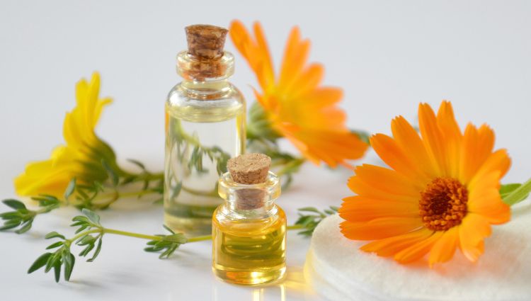 calendula flower used in skincare products