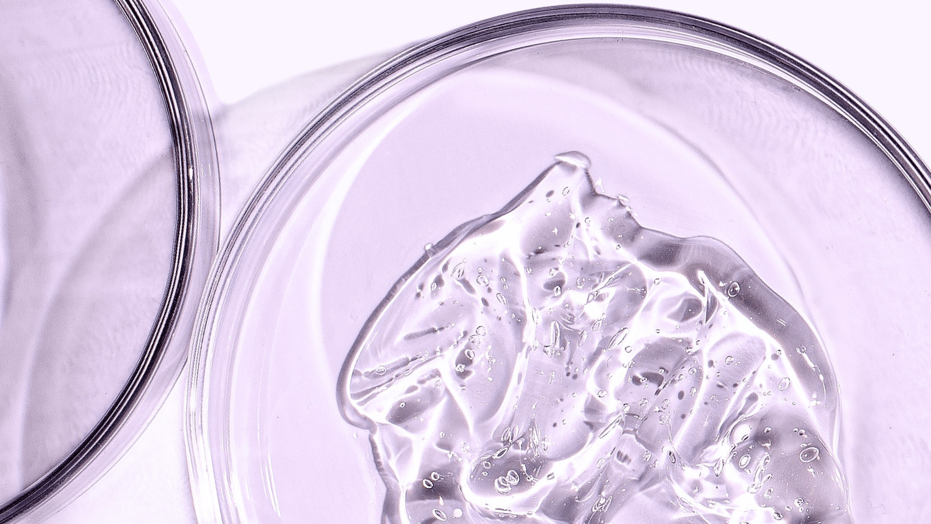 A close-up of a hydrating skincare gel texture in a petri dish, highlighting a clean, science-backed formula designed to support moisture, skin barrier health, and a refreshed complexion.