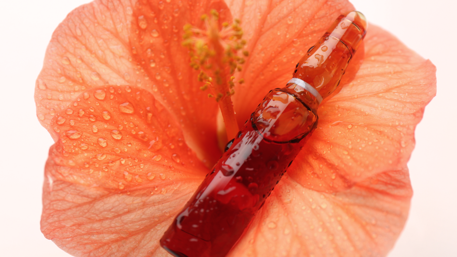 Hibiscus flower for antioxidants