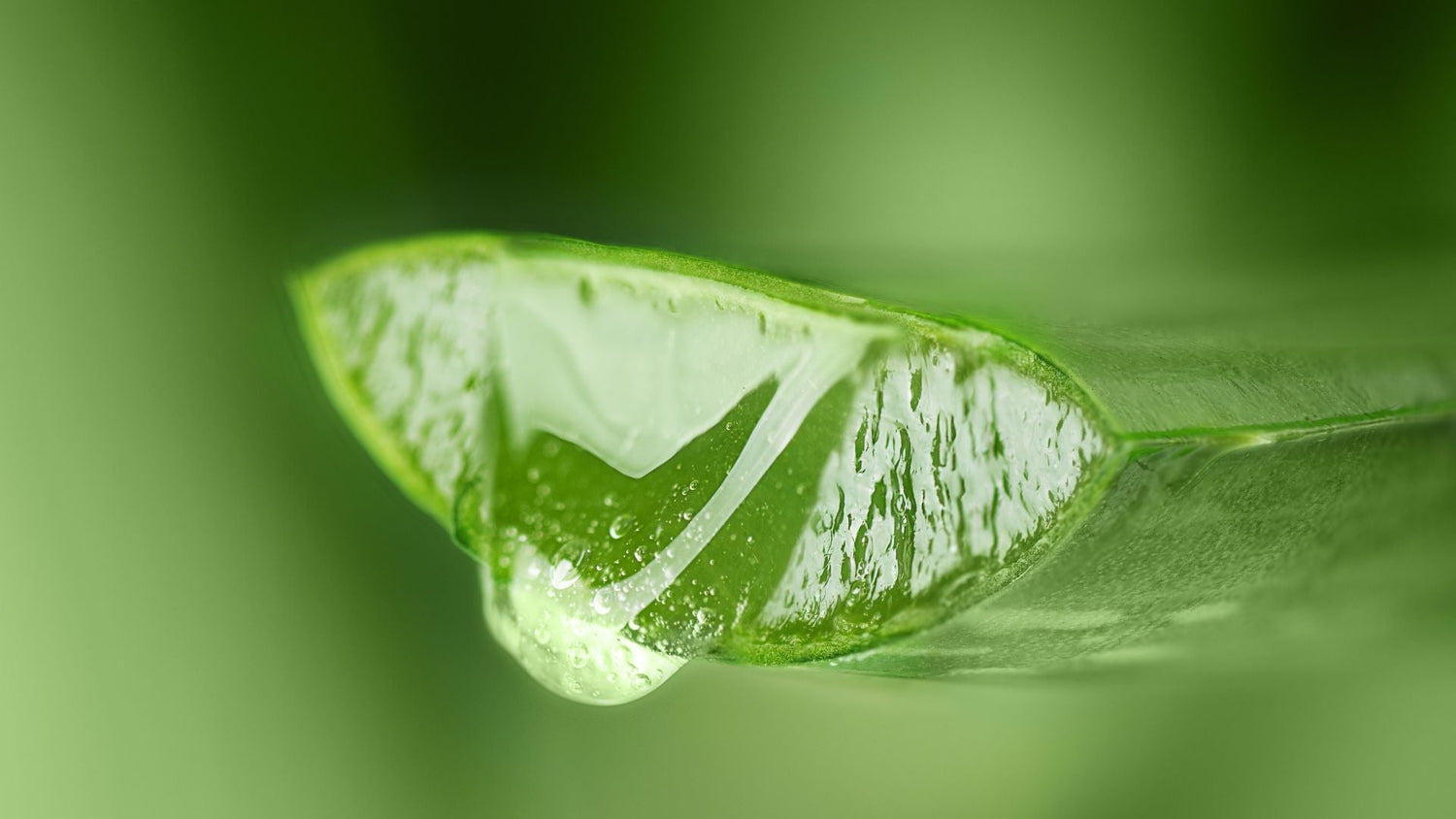 Aloe vera for skincare