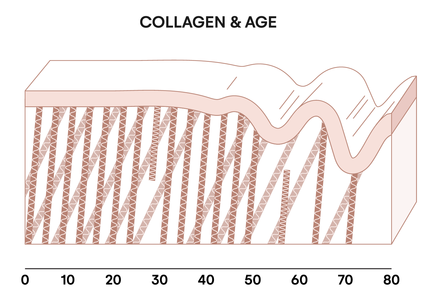 Does Collagen Really Work for Better Skin, Hair, and Nails?